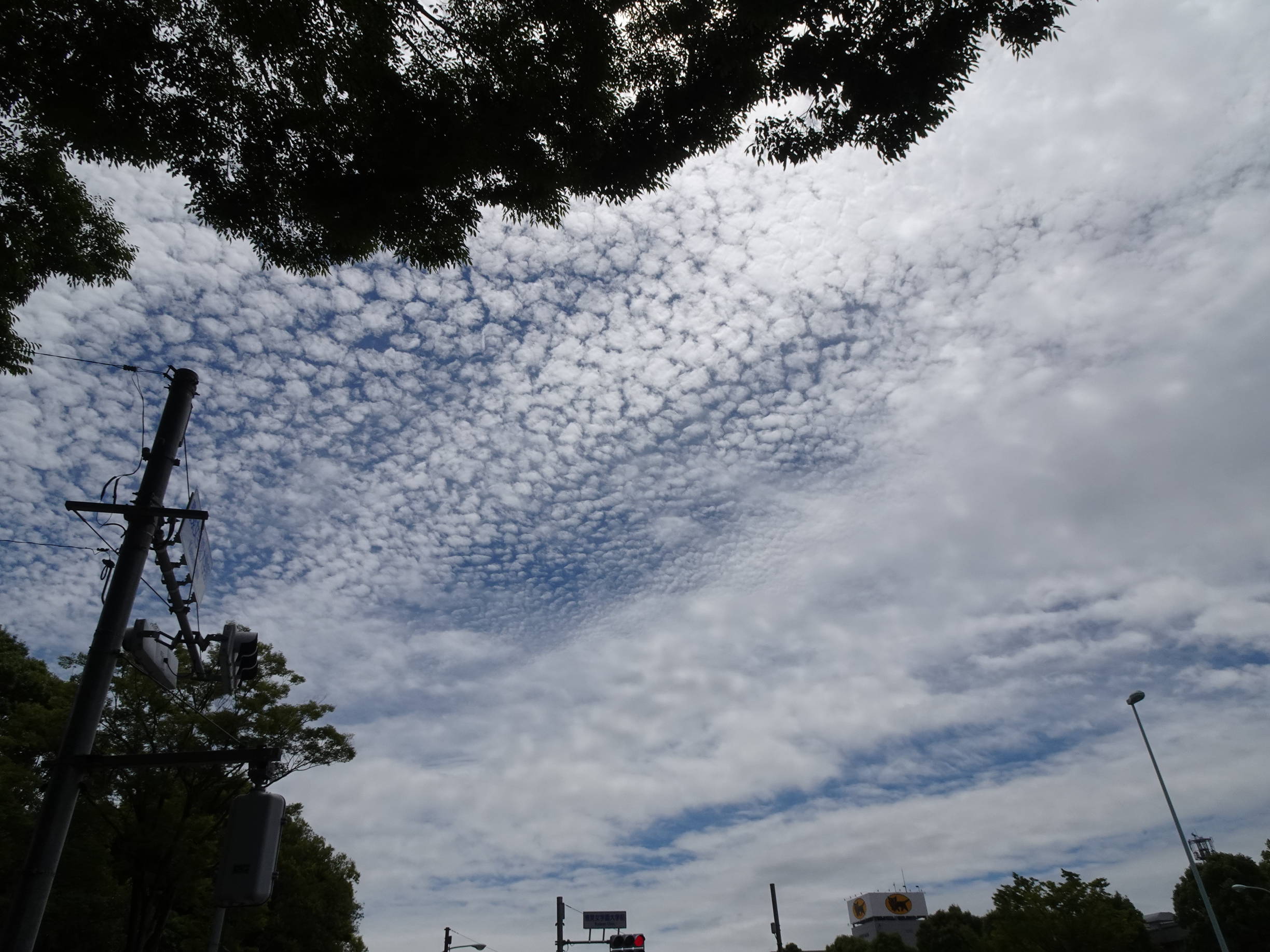 梅雨の晴れ間